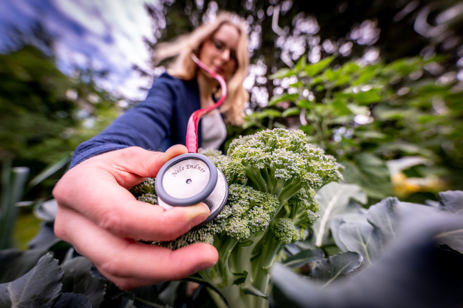 Ernährungsberatung - Gesundheit durch Ernährung